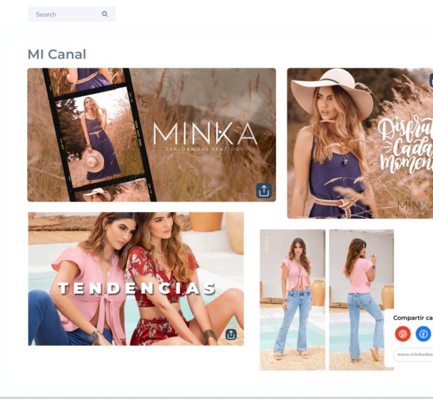 CRM MINKA 2